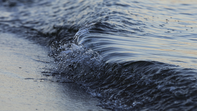 В среду на побережье Калининградской области вместе с обильными снегопадами разгуляется ветер