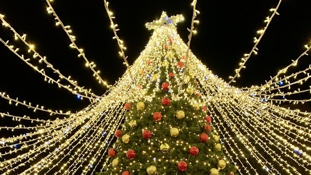 Шары и гирлянды: Калининград и область начали украшать к Новому году