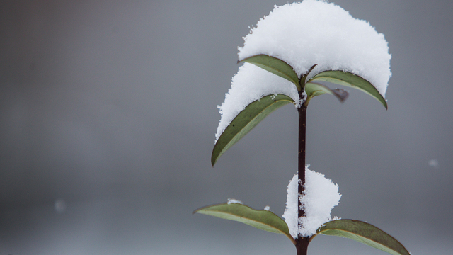 Не выходи из дома и не нагружай себя лишними хлопотами: приметы на 27 ноября