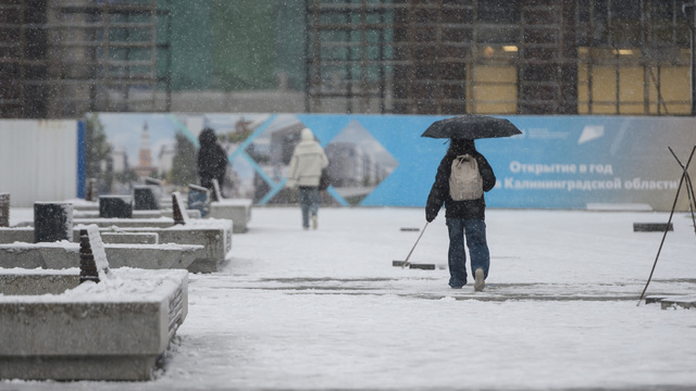 Калининград уходит под снег: город стремительно белеет