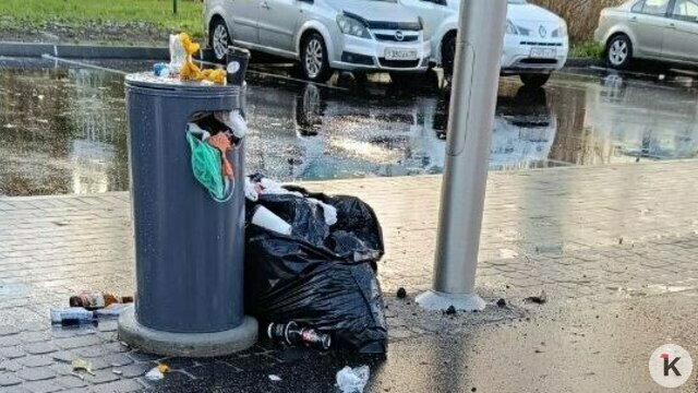 В Калининграде отремонтированная улица заросла мусором (фото)