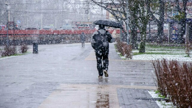 Соль закуплена, машины на старте: власти Калининграда готовы к первому снегопаду