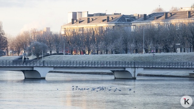 Погода в Калининграде и области в четверг