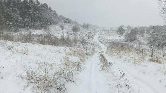 Зимняя сказка: восток Калининградской области замело толстым слоем снега (фото)