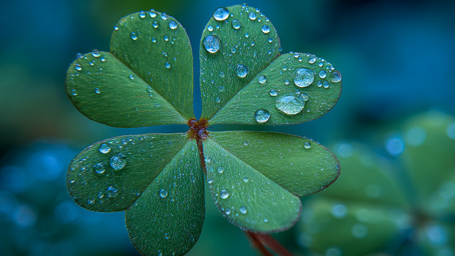 Удача в любви, творчестве и работе: Тамара Глоба назвала знак зодиака, который в конце ноября благословят небеса