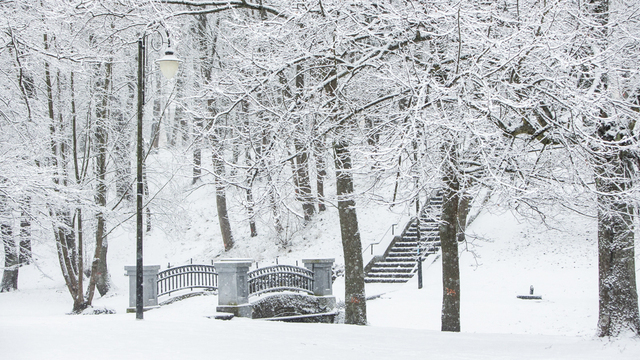Польские синоптики поделились неутешительными прогнозами погоды, которую унаследует Калининградская область