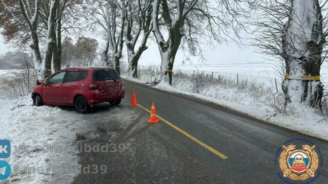 В Гурьевском районе легковушка влетела в дерево, водителя увезли в больницу