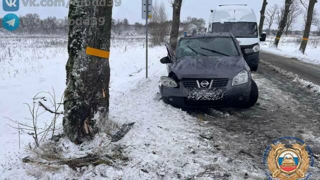 В этот раз в Неманском районе: ещё одна легковушка вылетела с дороги и угодила в дерево