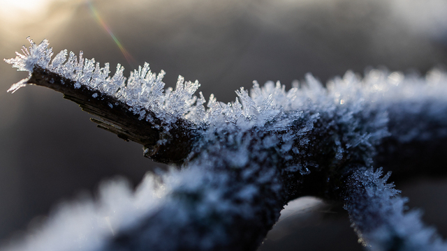 Не жадничай и не обсуждай чужую жизнь: приметы на 28 ноября