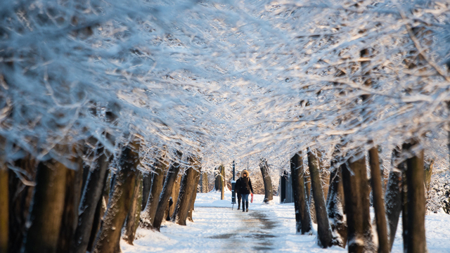 Не носи красную одежду и не говори с людьми через порог: приметы на 29 ноября