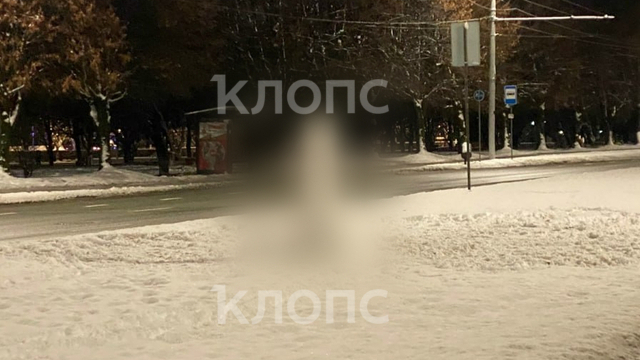 В Калининграде неизвестные подхватили екатеринбургский тренд и слепили на Моспроспекте снежный член (фото)  