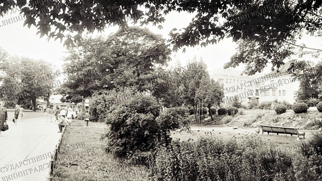 В госархиве показали, как выглядел сквер возле Центрального парка в 1960-е годы