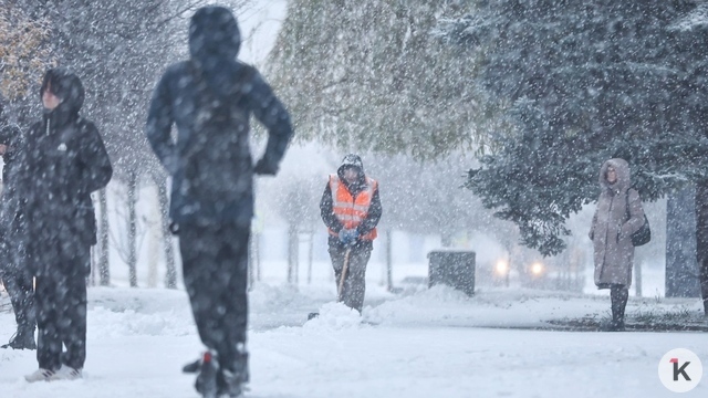 «Дворник наш до света встал, что есть силы снег метал»: музыкальный дайджест калининградских новостей за неделю (видео)  