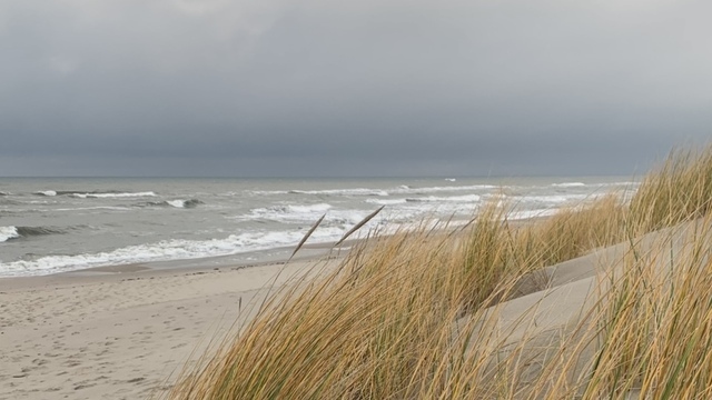 Репетиция зимы закончилась: в Калининград возвращается дождь и слякоть