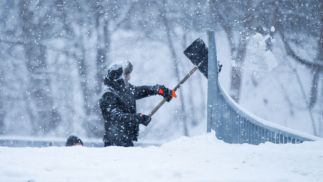 Дятлова заявила, что коммунальные службы «неплохо справились» с первым снегопадом  