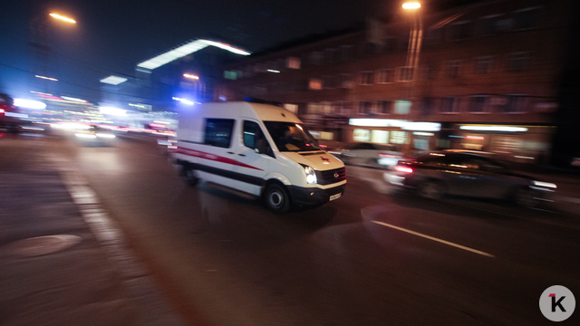 В Светлогорске водитель без прав врезался в придорожное дерево, пассажирка погибла на месте (видео) 