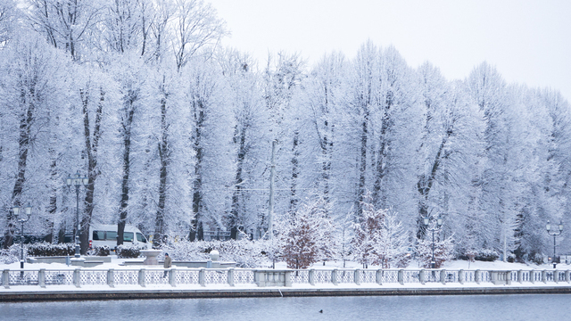 Тамара Глоба назвала дюжину дат в декабре, когда всем знакам зодиака стоит быть настороже 