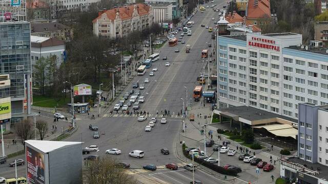 В Калининграде власти решают, где ещё сделать выделенные полосы для общественного транспорта