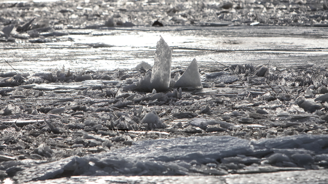 Учёные предупредили о риске стремительного разрушения «ледника Судного дня» в Антарктиде