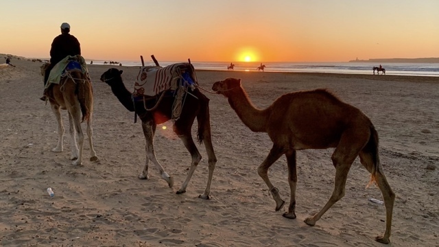Из-за ошибки в паспорте калининградку не выпустили из «Храброво» в Египет 