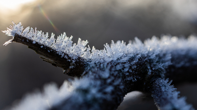 Не влезай в конфликты и не ложись поздно спать: приметы на 3 декабря