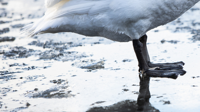 Синоптики рассказали, когда в Калининградскую область вернётся тепло 