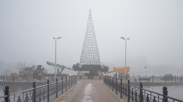 Свет сквозь пелену: в затянутом туманом Калининграде начали устанавливать первую новогоднюю ёлку (фоторепортаж)