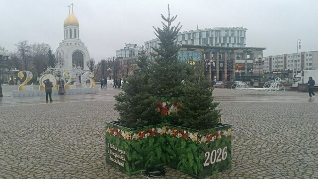 Для новогоднего настроения на площади Победы расставили пихты в кадках