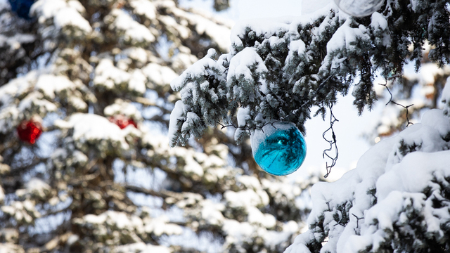 Ярмарка, море и Леонид Филатов: 6 бесплатных мероприятий в первый уикенд декабря