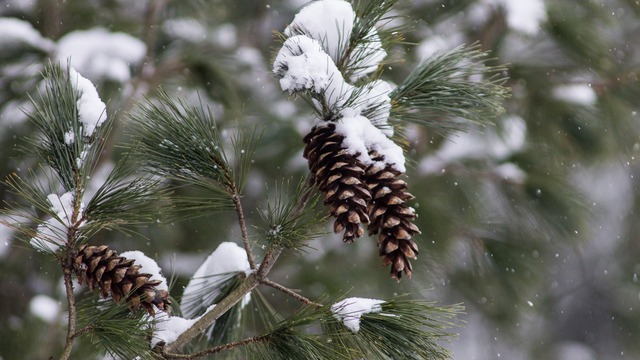 Отложи домашние дела и не трогай острые предметы: приметы на 4 декабря