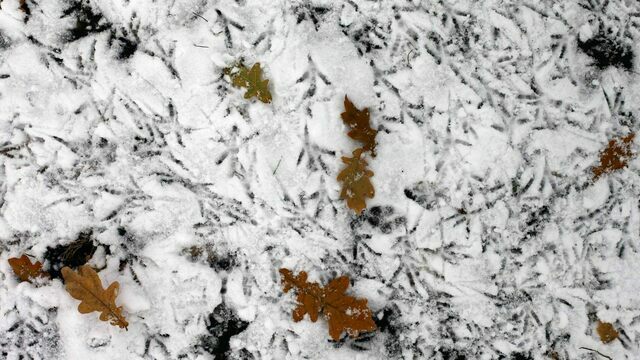 Не бери деньги в долг и не заводи новые знакомства: приметы на 5 декабря