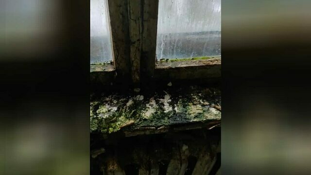 Три года под дождём: в Багратионовском округе не могут починить крышу пятиэтажки после урагана (фото)  