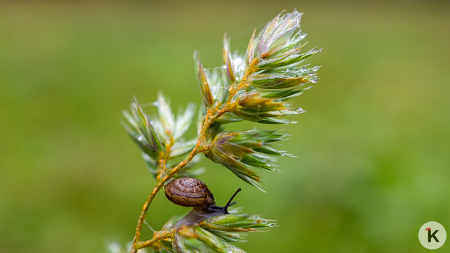 Погода в Калининграде и области в пятницу