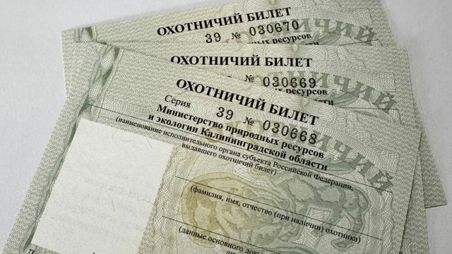 Впадает ли медведь в спячку: о чём спрашивают калининградцев на экзамене для охотников