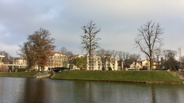 То ли зима, то ли осень: Калининград ждёт волна тепла