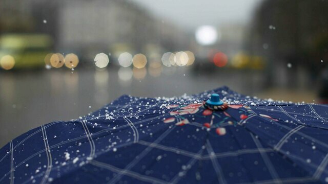 В Калининградской области на следующей неделе прогнозируют осеннюю погоду с дождями