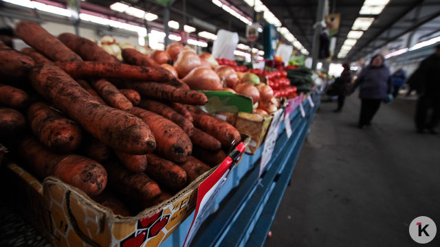 Губернатор Беспрозванных за год выделил калининградским овощеводам почти в 2,5 раза больше субсидий из бюджета