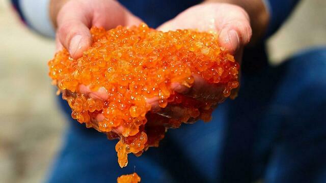 Эксперты напомнили, как отличить настоящую красную икру от подделки