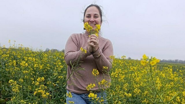 В Краснознаменском районе расцвело рапсовое поле (фото, видео)