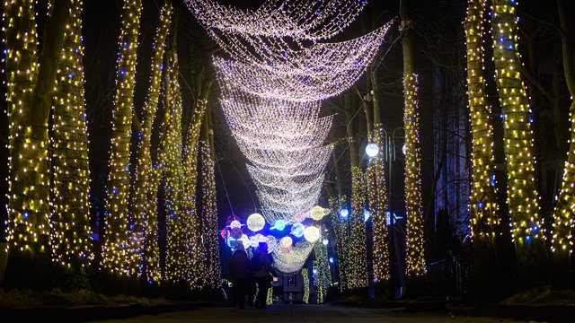 Светлогорск или Зеленоградск — чей черёд блистать? (фото)