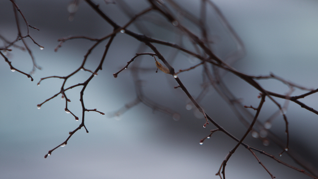 Отложи дальнюю поездку и не ходи на охоту: приметы на 9 декабря