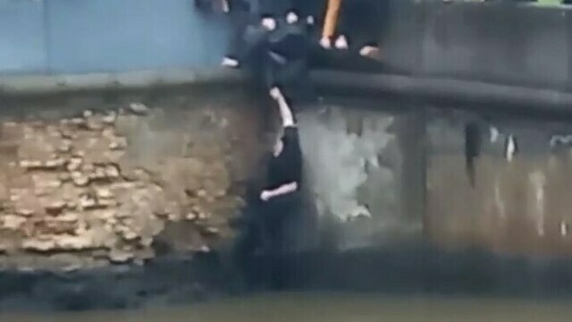 Калининградцы спасли собаку, которая упала в Преголю в районе эстакадного моста (видео)