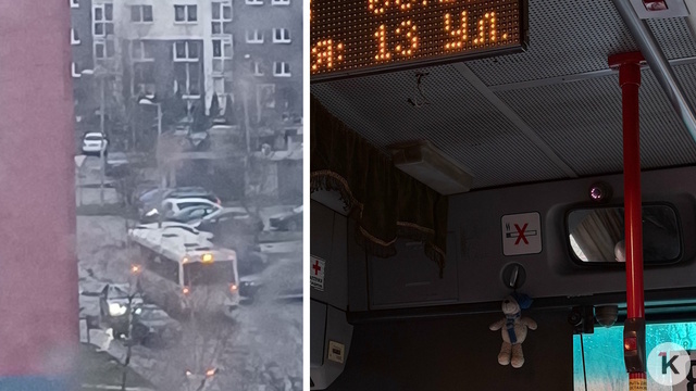 Один проскочил, второй — в дерево: в Калининграде автобусы застряли из-за ДТП на Минусинской (фото)