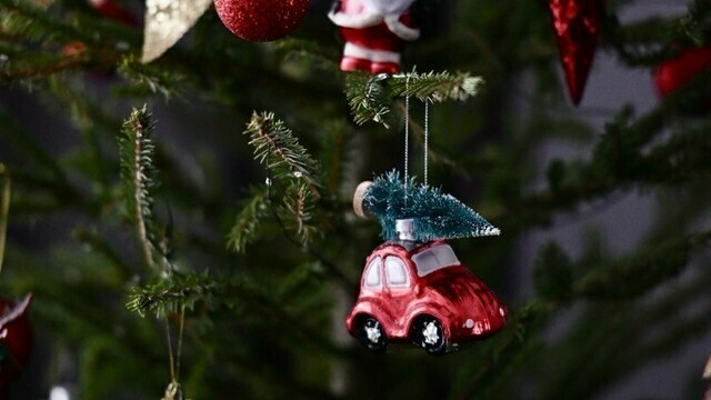 Когда уже ставить ёлку? Разбираем зимние традиции и выбираем идеальное время