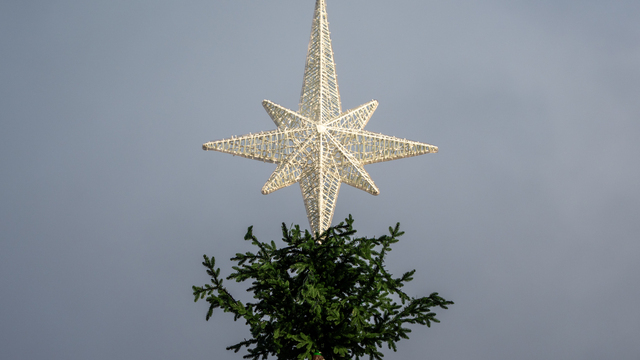 Как выглядит новая калининградская ёлка за 49 миллионов рублей (фото)