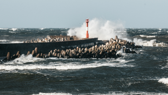 В Калининградской области ожидается усиление ветра 11 декабря - МЧС