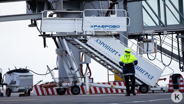 Теперь только для калининградцев: названы направления и стоимость субсидированных билетов на 2026 год