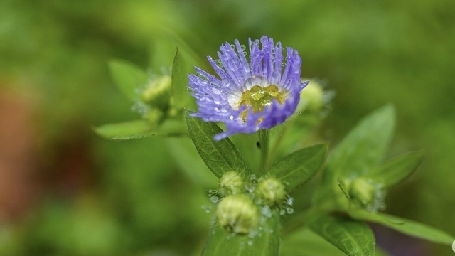 Погода в Калининграде и области в четверг