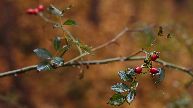 Не распускай слухи и не приглашай гостей: приметы на 13 декабря