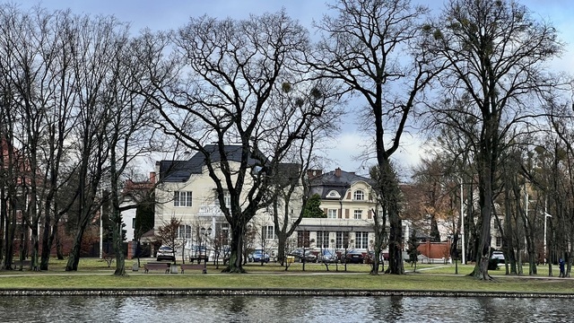 Помогло тепло из Африки: Калининград морозы пока обходят стороной